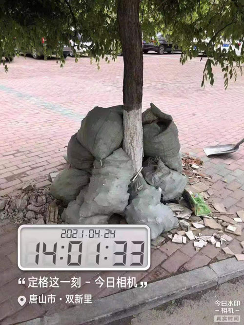 20210501121952263.jpg