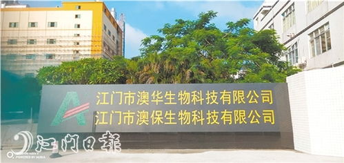 江門新聞 江門新聞網.江門綜合門戶網站