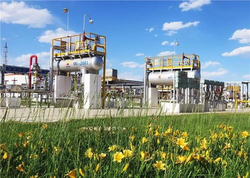 守護(hù)毛烏素的碧水藍(lán)天 長(zhǎng)慶油田采氣三廠環(huán)保效益開(kāi)發(fā)始終在路上